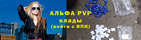 молекула духа Алексеевка