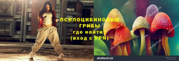 spice Абаза