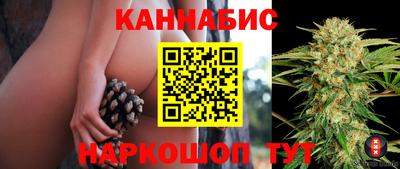стаф Гагарин