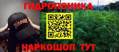 ECSTASY Гатчина