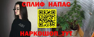 стаф Гагарин