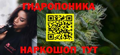 ECSTASY Гатчина