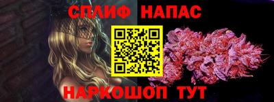 не бодяженный Гай