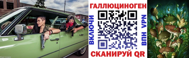 Галлюциногенные грибы GOLDEN TEACHER Ковров