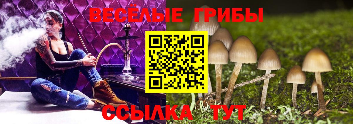 Псилоцибиновые грибы мухоморы  Вход с VPN  Ковров 