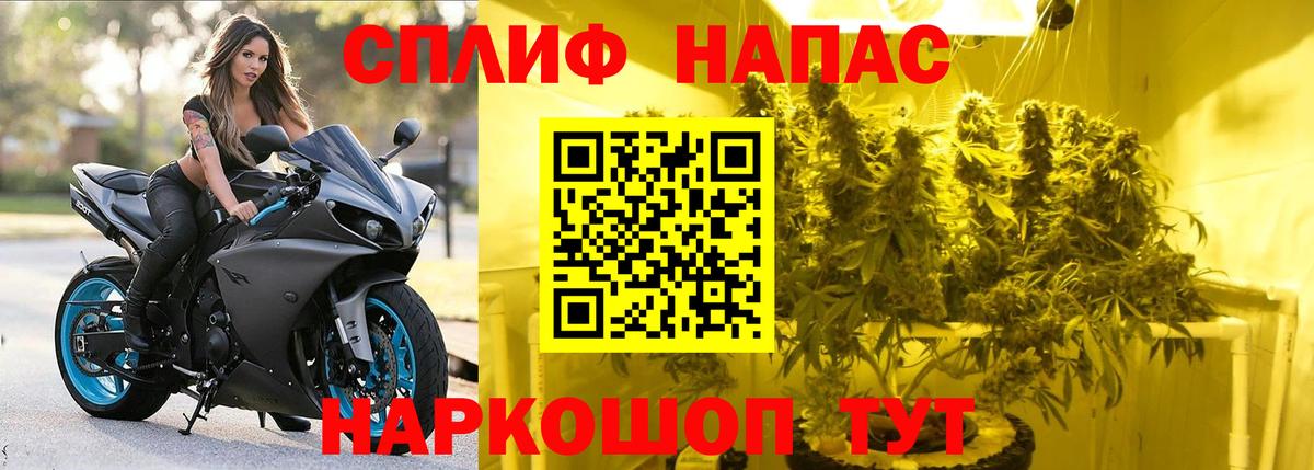 Каннабис планчик Ковров